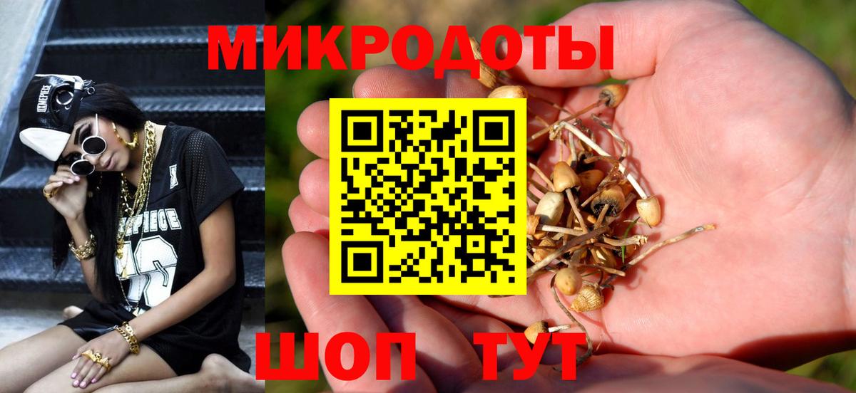 Галлюциногенные грибы прущие грибы  наркошоп  Элиста  Вход с VPN 